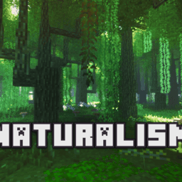 澳门金沙贵宾会自然主义整合包下载手机版-澳门金沙贵宾会自然主义模组下载 v951622101 安卓版