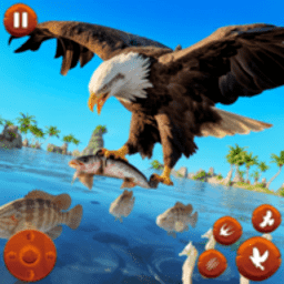 6163银河官方网站模拟器手机版下载-6163银河官方网站模拟器免费版下载 v1.1 安卓版