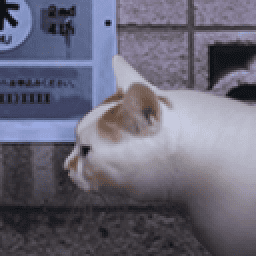 银河总站登录之怪奇谭官方正版下载-银河总站登录之怪奇谭手机版下载 v1.0 安卓正版